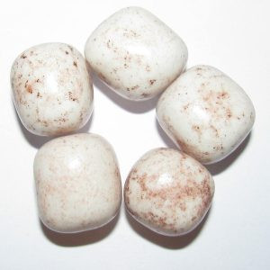 Exotissimo Coco 223983