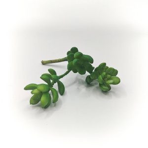Cactus artificiel 1000011886 scaled