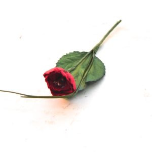 Fleur renoncule Rouge FL1519