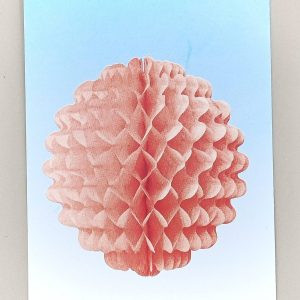 Boule de papier IMG 20230930 092633
