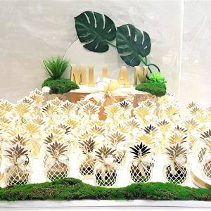 Modèle Ananas ananas