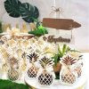 Modèle Ananas ananas2