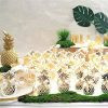 Modèle Ananas anas1