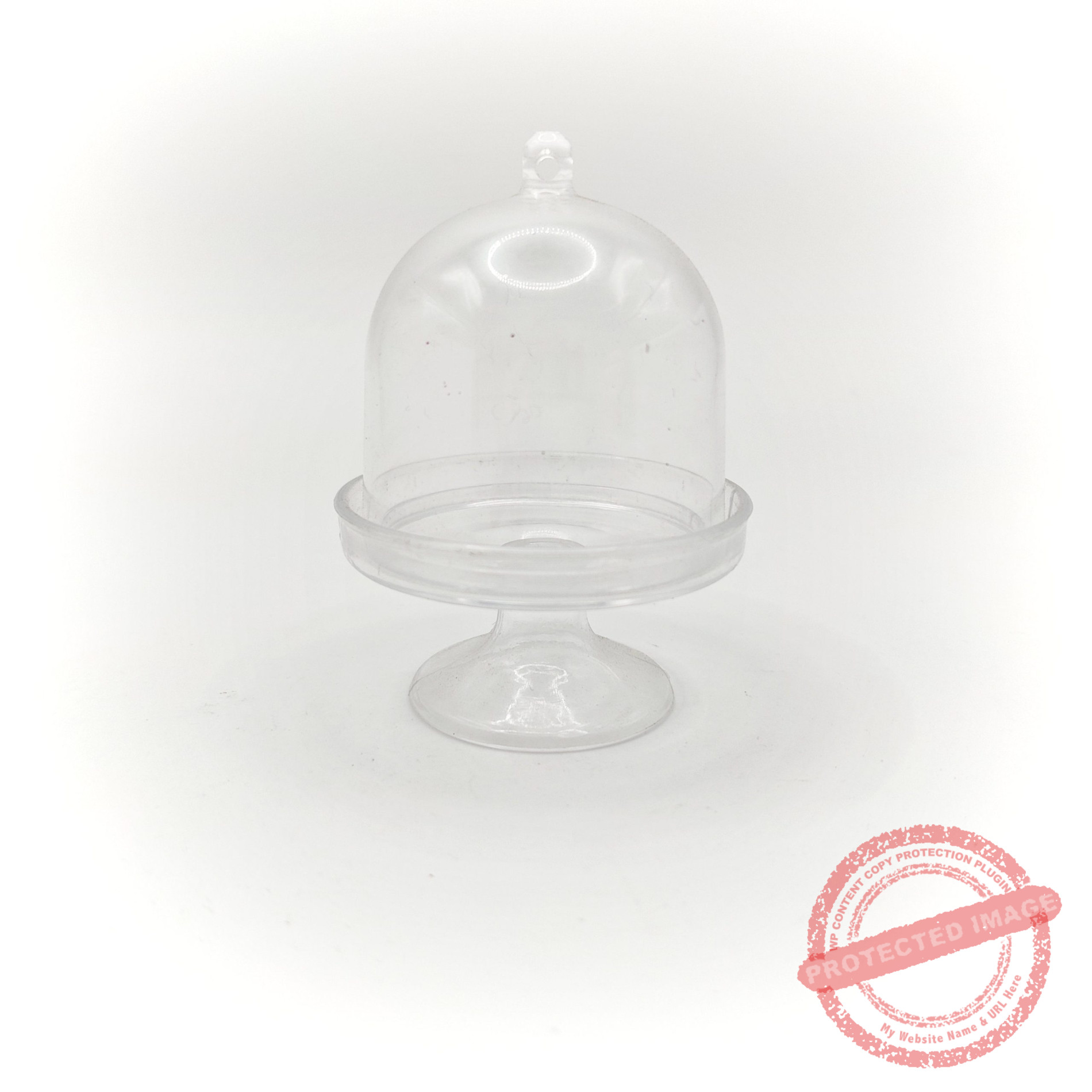 Mini-cloche 1 Mini-cloche 1000013126 scaled