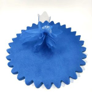 25 Tulles en Organdi 1000013642 scaled 1