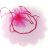 Fuschia