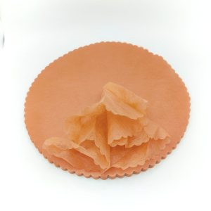 Polytulles (Lot de 25) 4 25 Polytulles 1000013674 scaled 1