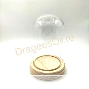 Dôme en verre IMG 20231031 152524