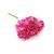 Fuschia