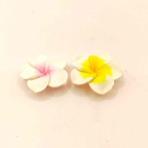 Fleur frangipanier