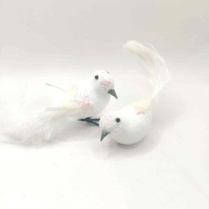 Oiseau blanc