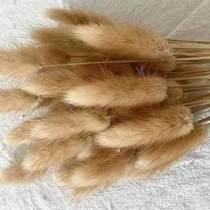 Botte de Queue de lapin