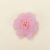 Rose Corail