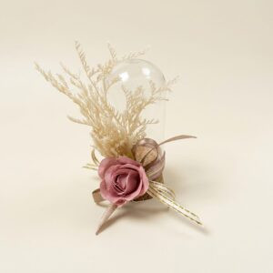 Lot de Cloches en verre